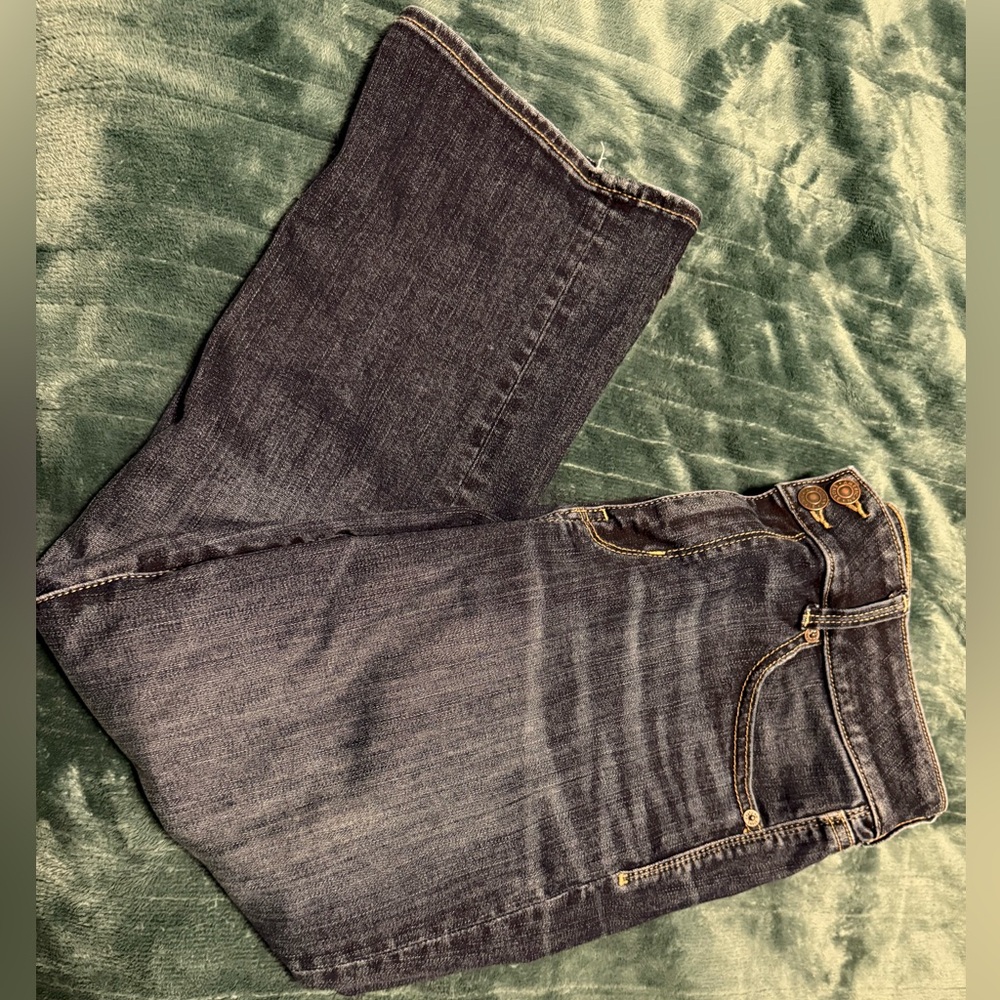 American Eagle Size 14 Short jeans